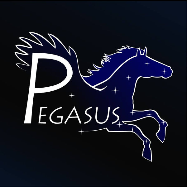 PEGASUS OVIEDO